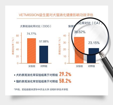 高端連鎖攜手獸醫任務，寵物健康品牌成為院線新寵